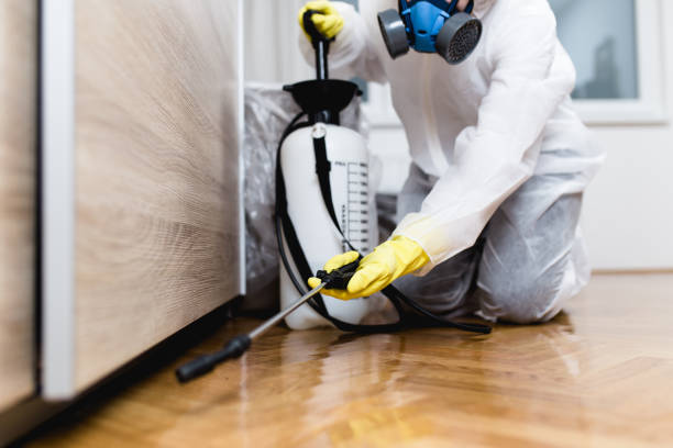 Best Pest Removal Services  in Farmingville, NY