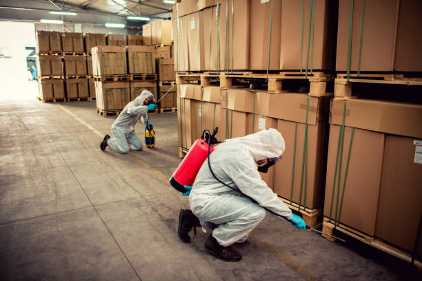 Best Termite Control Services  in Farmingville, NY