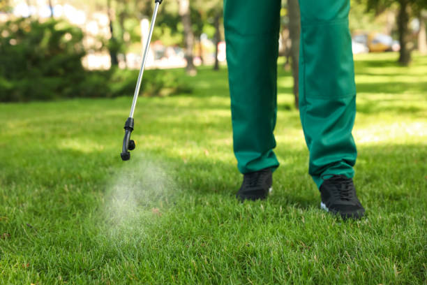 Professional Pest Control in Farmingville, NY