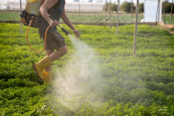 Best Emergency Pest Control  in Farmingville, NY