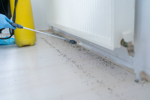 Best Affordable Pest Control Services  in Farmingville, NY