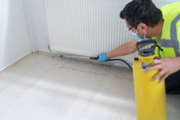 Best Pest Inspection Near Me  in Farmingville, NY