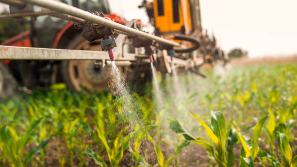 Best Commercial Pest Control Services  in Farmingville, NY
