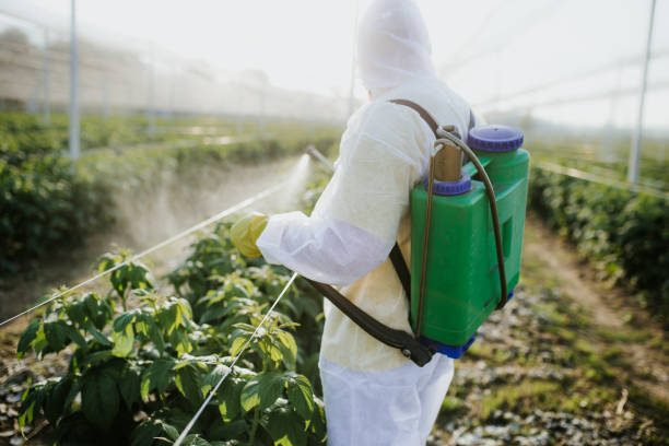 Best Commercial Pest Control Services  in Farmingville, NY